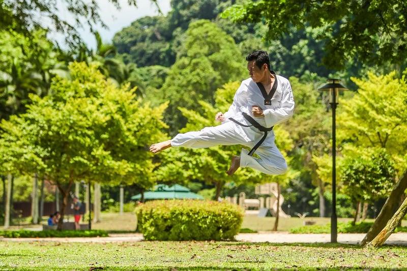 Kung Fu Practice